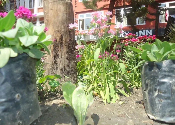 Discovery Bed & Breakfast 2*